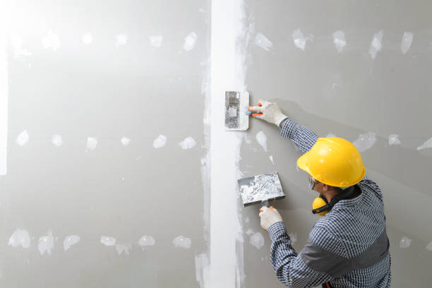 Greenfield, WI Mold Removal Company