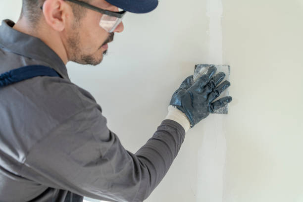 Forensic Mold Investigation in Greenfield, WI