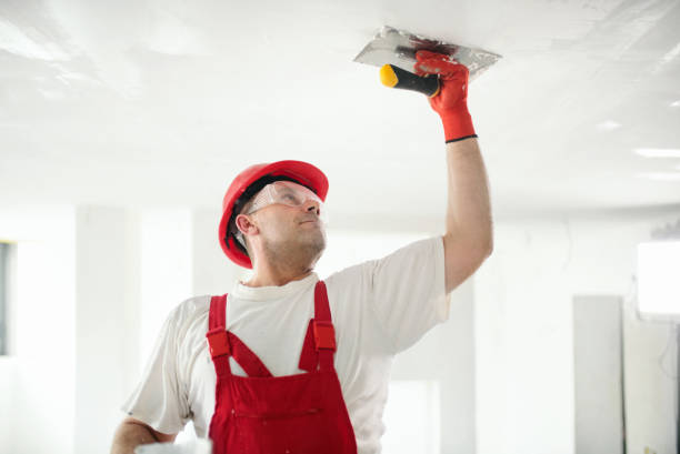 Best Commercial Mold Inspection  in Greenfield, WI