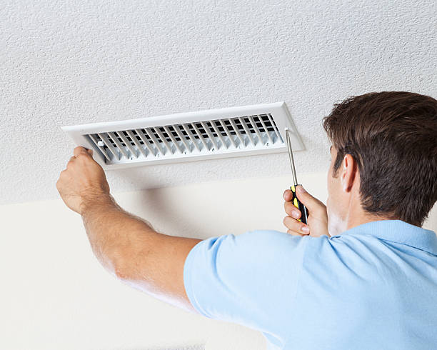 Best Mold Damage Restoration  in Greenfield, WI