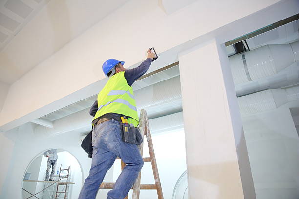 Best Real Estate Mold Inspection  in Greenfield, WI